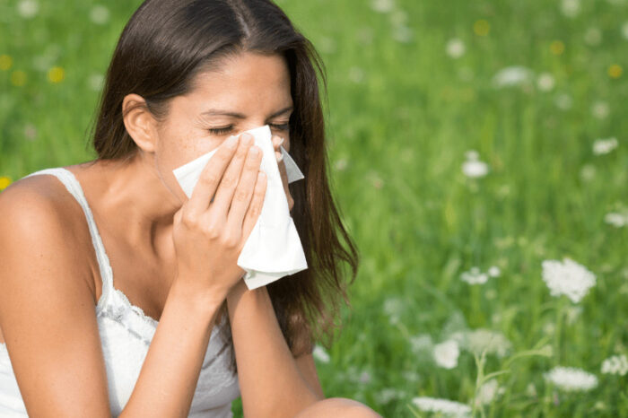 Weekly visits to NHS website's hay fever advice reach 122,000 as pollen levels rise