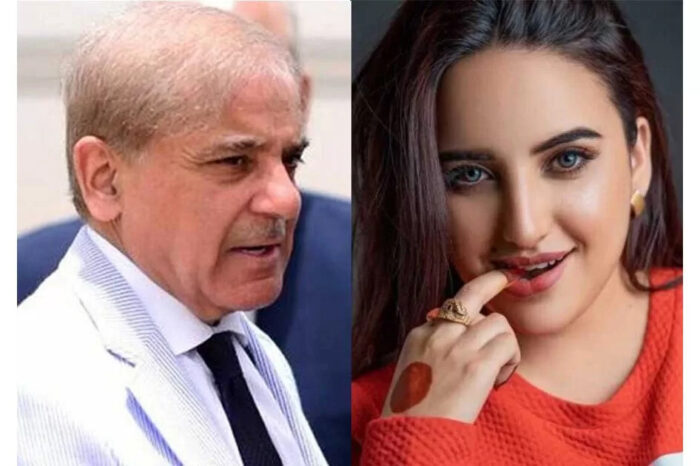 TikToker releases video of former Pakistani Prime Minister Shehbaz Sharif with his alleged ‘girlfriend’